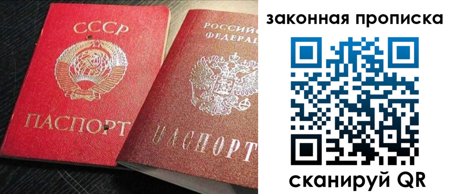прописка штамп в Нелидово